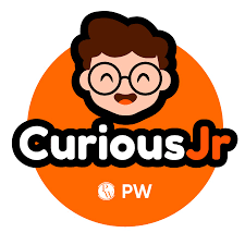CuriousJr logo